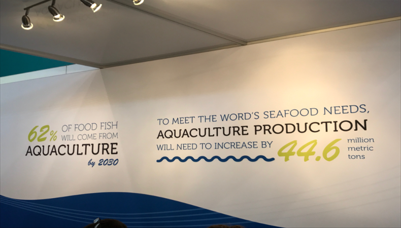Bis 2030 kommt 62% des konsumierten Fisch aus Aquakulturen oder Fish Farms. Nur so kann der schnell wachsende Bedarf gedeckt werden.